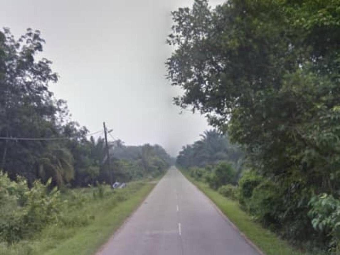 ๐ฟ Tanah Pertanian Pulau Manis, Pekan โ Freehold