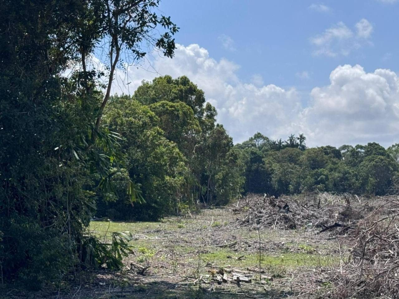 Tanah Pertanian 1 Ekar Di Kampung Ubai, Penor Kuantan Pahang