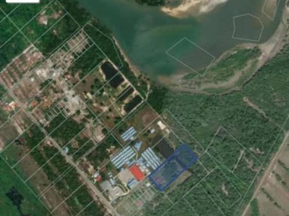 Tanah Pertanian 3 Ekar Di Cherok Paloh, Kuantan Pahang
