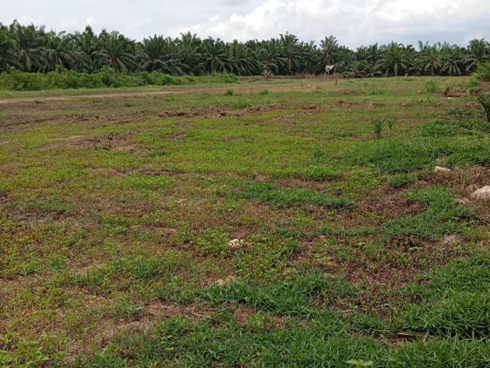 šæ Geran Individu Parit 7½, Sungai Panjang ā Sabak Bernam, Selangor