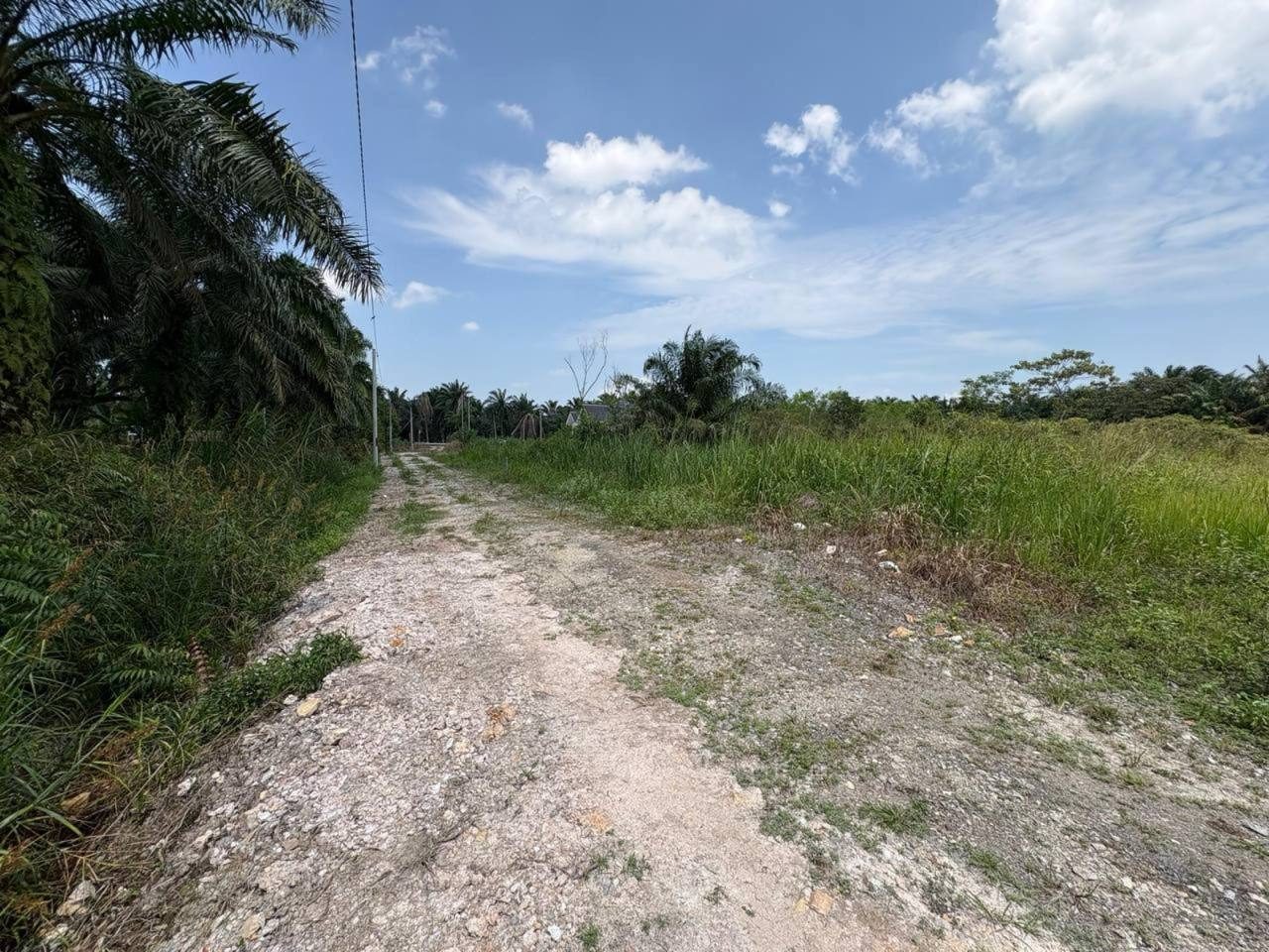 Tanah Lot Banglo 9,795 sqft Freehold Di Banting Selangor