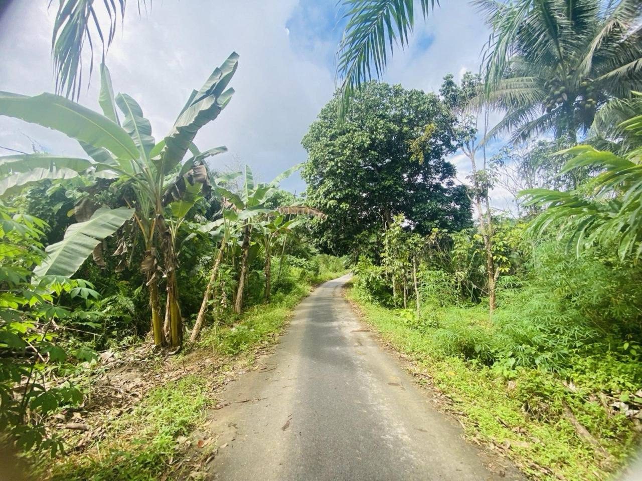 Tanah Dusun 5.88 Ekar Kampung Hulu Temau Raub Pahang