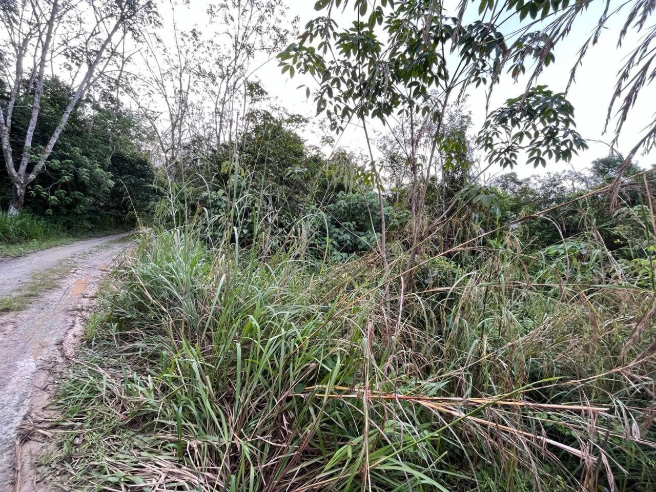 Tanah 8.7 Ekar Pertanian Getah Kg Guai Temerloh Pahang Freehold Akses Jalan