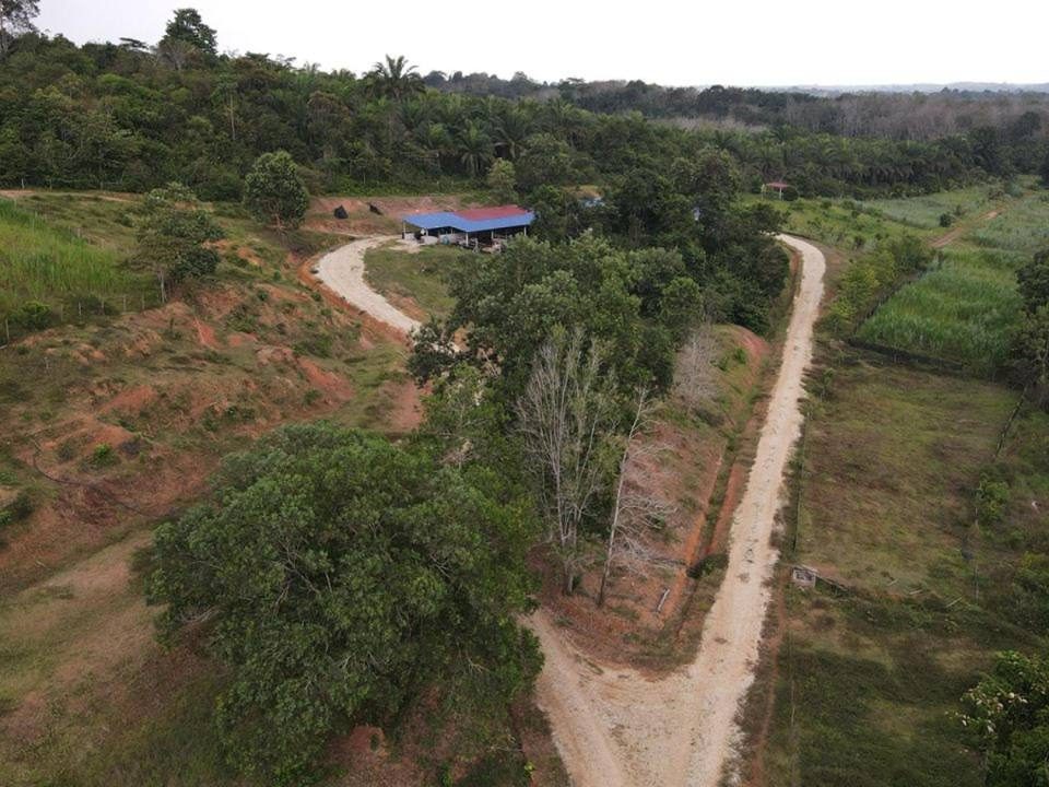 Tanah Pertanian 9.7 Ekar Bukit Songsang Temerloh Pahang Akses Jalan Siap Elektrik Freehold
