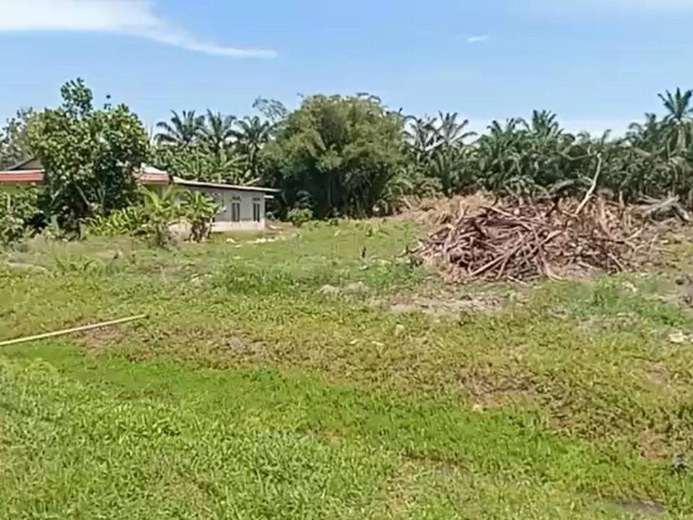š¾ 5 Ekar Tanah Pertanian Freehold ā Senggarang, Rengit š¾