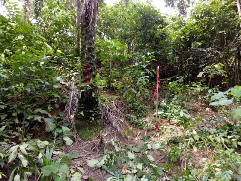 Tanah Rancangan Pinggiran Jenderam Dengkil Sepang Selangor 42,033 sqft