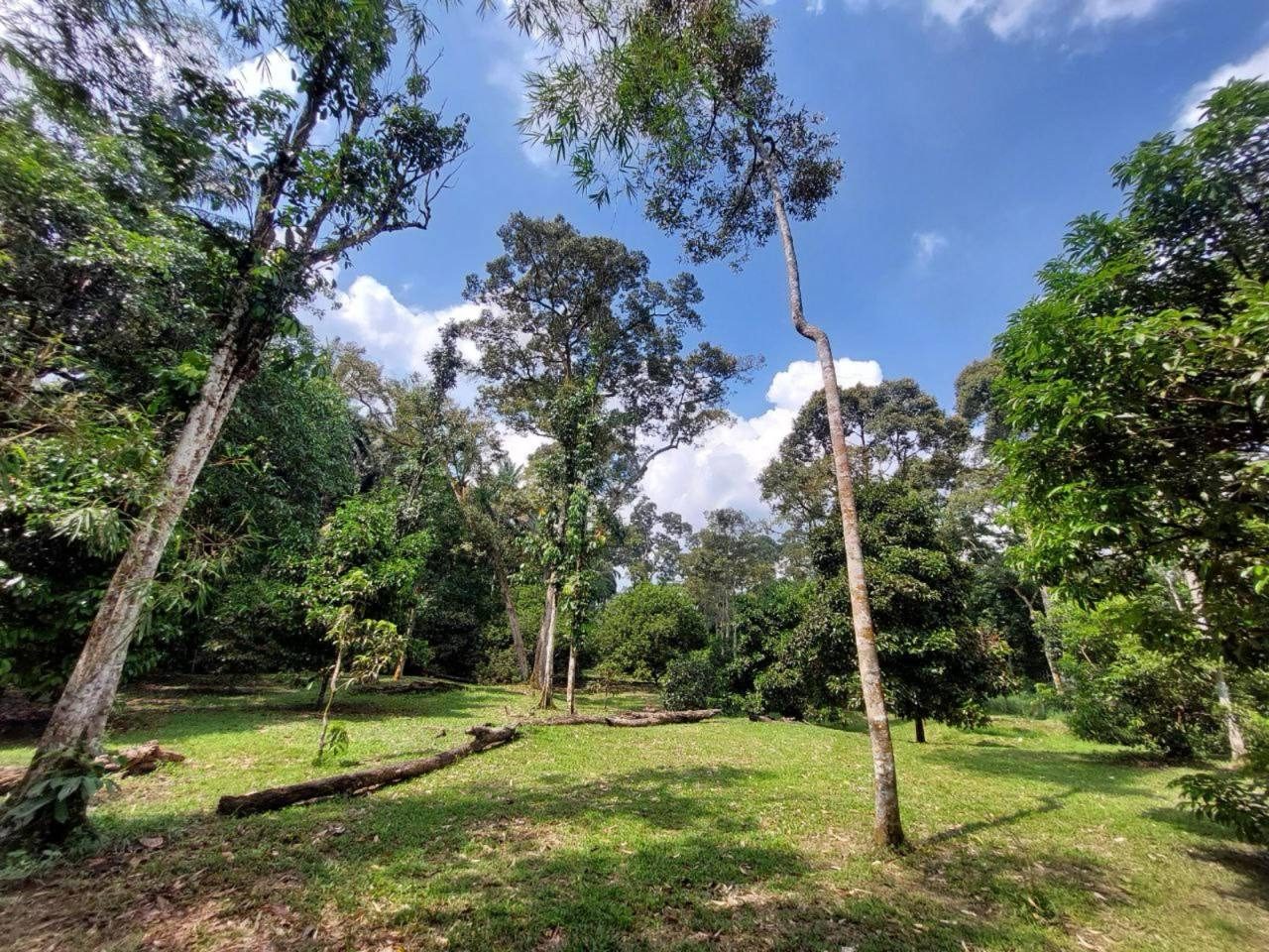 Tanah Pertanian Dusun Ulu Yam Hulu Selangor 1.94 Ekar Freehold