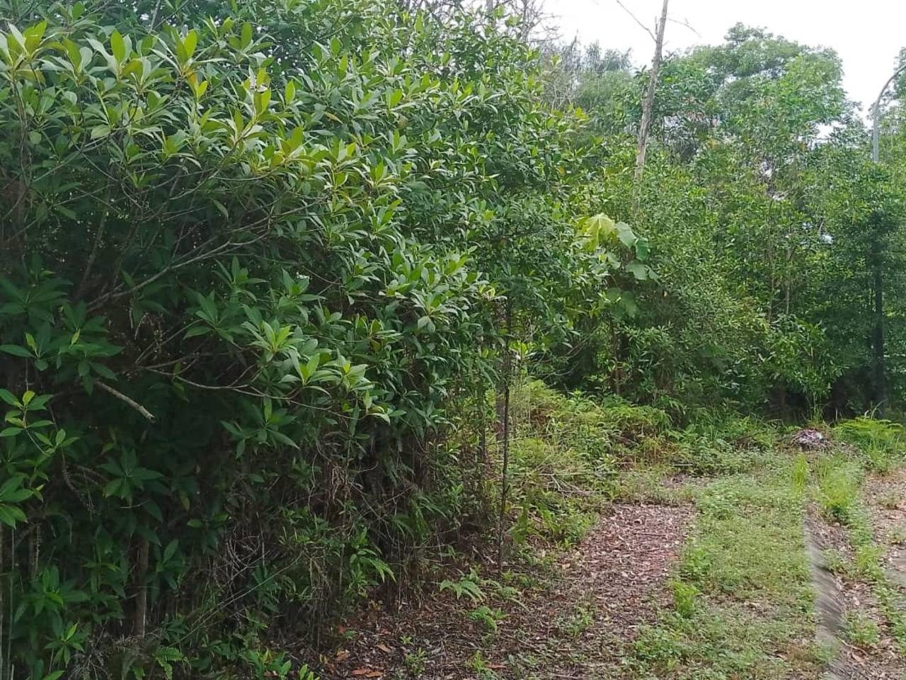 Tanah Banglo 12453 sqft Seksyen 7 Bandar Bukit Mahkota Bangi Freehold Geran Individu Infra Lengkap Dekat Tasik