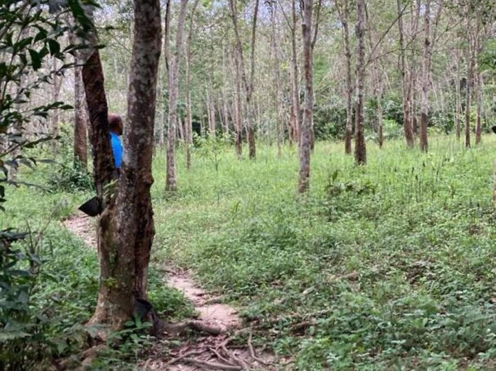 š± TANAH MURAH 1.6 EKAR | KG KATUB, LENGGENG, NS