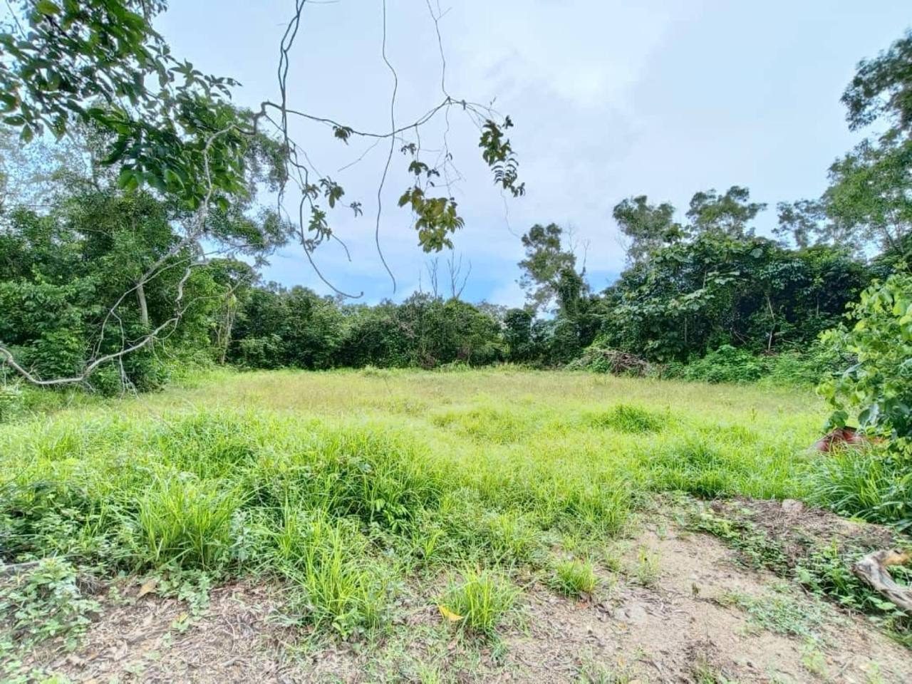 Tanah Lot Semi D Pinang Merah Paka Terengganu 3648 Sqft Siap Tambun