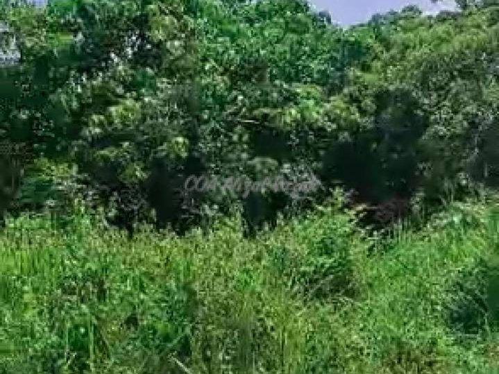 Tanah Pertanian 2.35 Ekar Freehold Kuala Kangsar