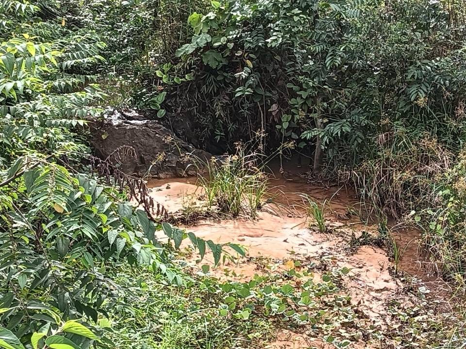 Tanah 3.78 Ekar Sepang Salak Tinggi Tepi Jalan B48 Freehold