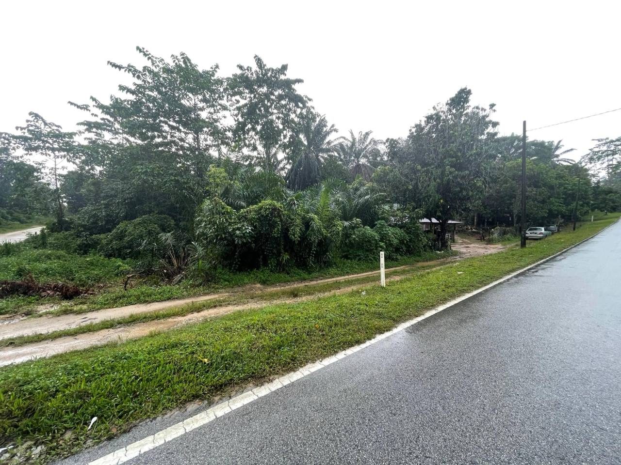 Tanah Bangunan 1.25 Ekar Kg Dadong Kemaman Freehold Tepi Jalan Utama