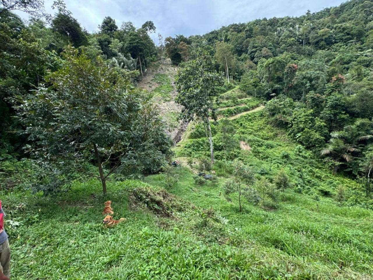 Dusun Durian Bukit Permata Batu Caves 1.99 Ekar Akses 4x4 Dekat Air Terjun
