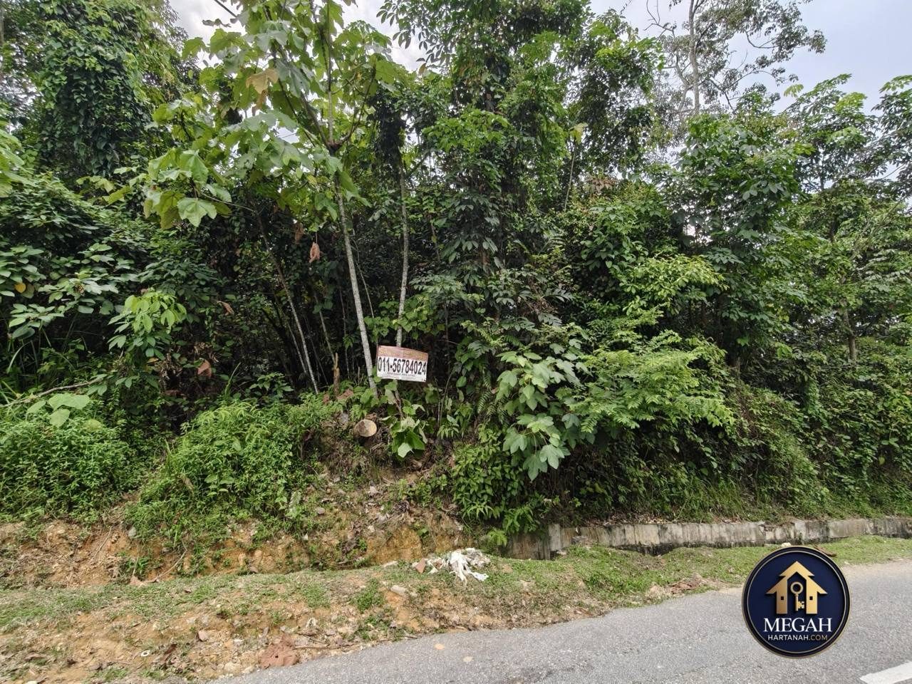 Tanah 1.96 Ekar Kg Baru Sungai Pelong Sungai Buloh | Freehold | Zoning Bangunan