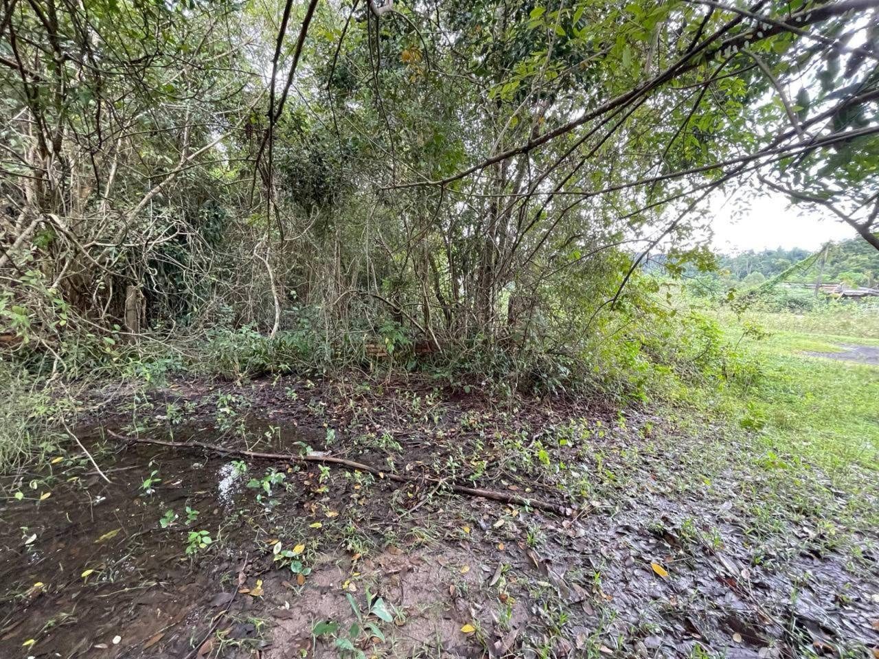 Tanah Bangunan Bukit Chatak Kuala Dungun Freehold 23780 sqft Tanah Rata