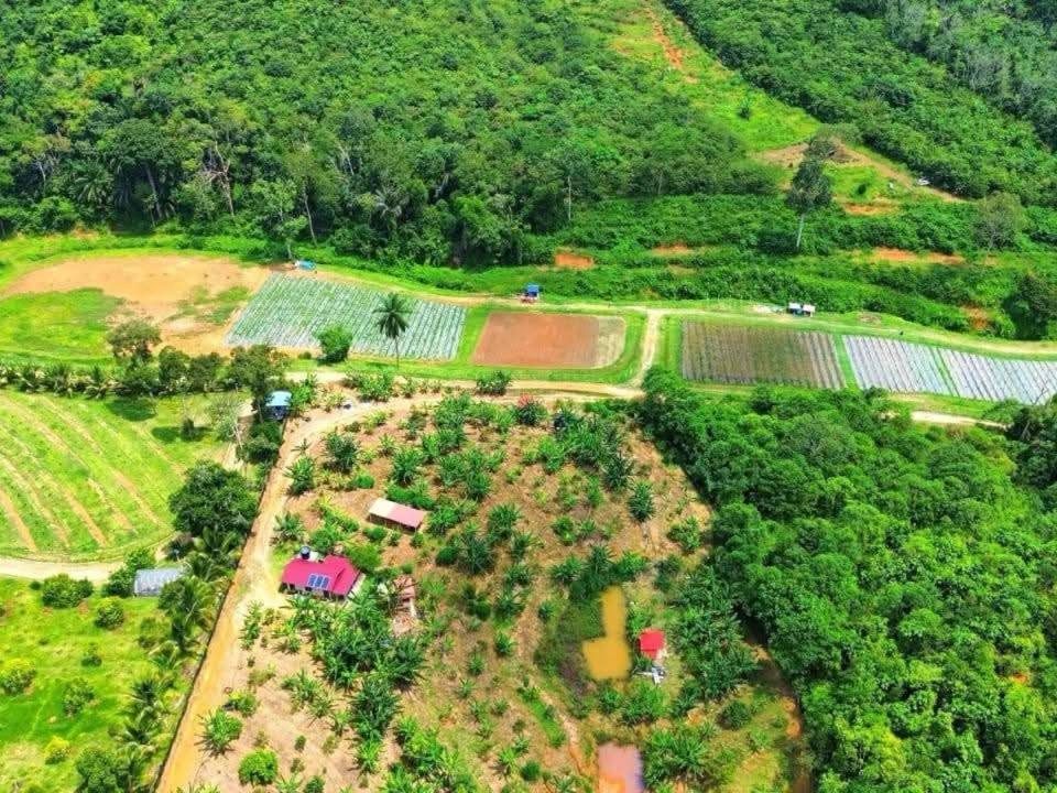 Dusun Durian 9 Ekar Johol Kuala Pilah | Freehold