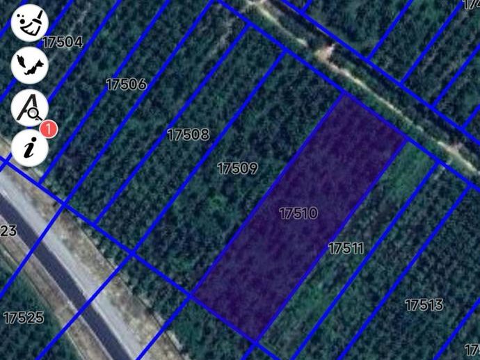 Tanah Sawit 3.1 Ekar Parit Mahang Kuala Selangor | Dekat WCE
