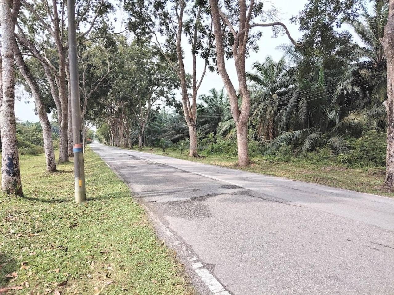 š” Tanah 6.2 Ekar Zoning Perumahan @ Bukit Changgang, Banting