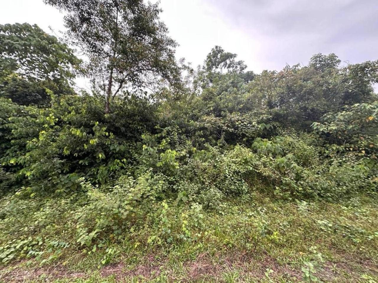π‘ 2 LOT TANAH BANGLO β KAMPUNG BUKIT ANAK TERUNA, KIJAL, KEMAMAN