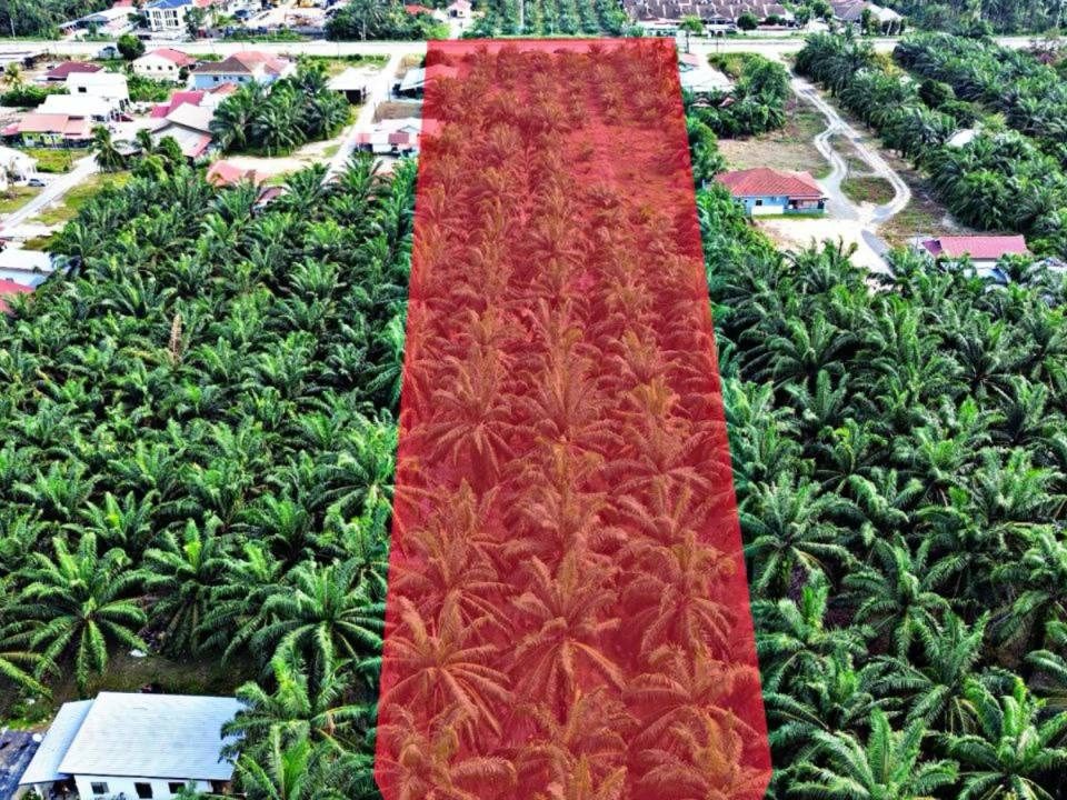š„ TANAH TEPI JALAN UTAMA IJOK | 5 EKAR | FIRST LAYER | PEKAN IJOK, SELANGOR