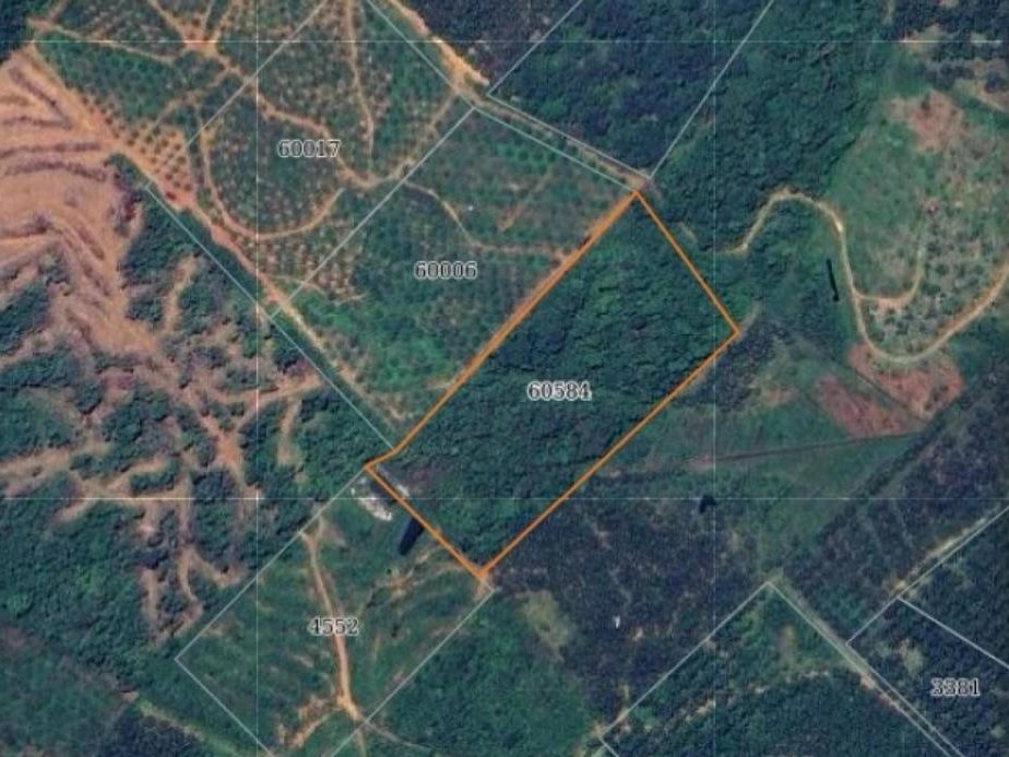 🌳 TANAH KEBUN 6.45 EKAR @ HULU TERENGGANU – SESUAI KEBUN DURIAN