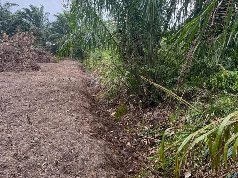 š” Tanah FREEHOLD 0.33 Acre @ Parit Saleh Hj Khairon, Ayer Hitam Johor