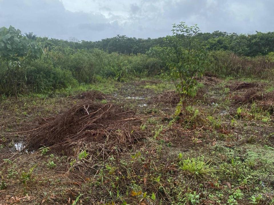 š“ 2 Lot Tanah Pertanian 3 Acre @ Kg Mati, Mersing Johor