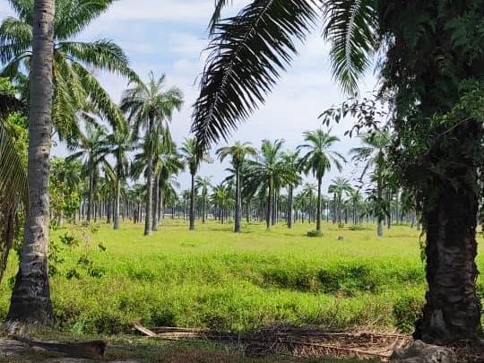 š” Tanah Lot Kediaman 8,008 sqft @ Kg Hulu Turis, Tanjung Sepat