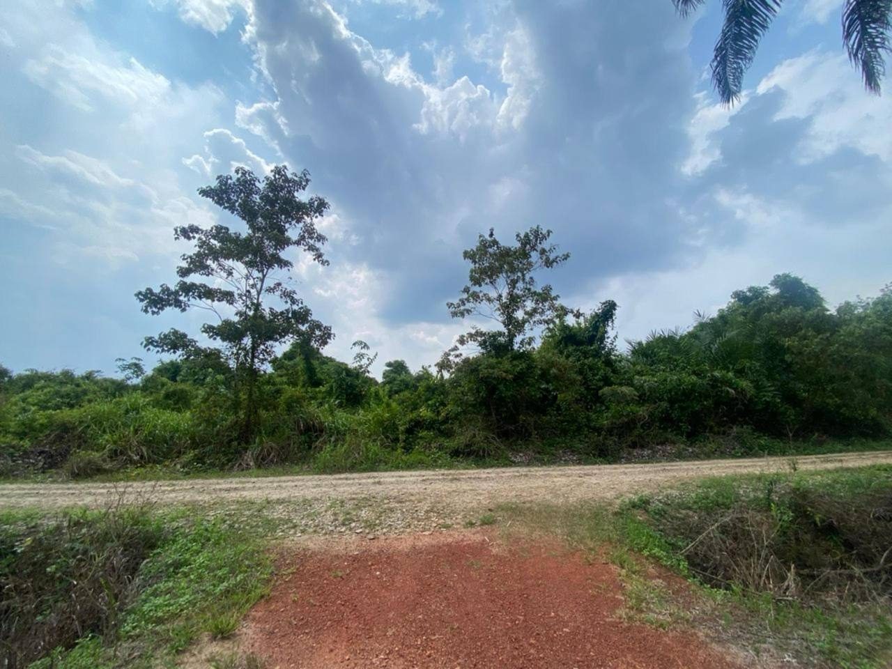🌾 TANAH PERTANIAN LUAS @ LENGA, MUAR JOHOR