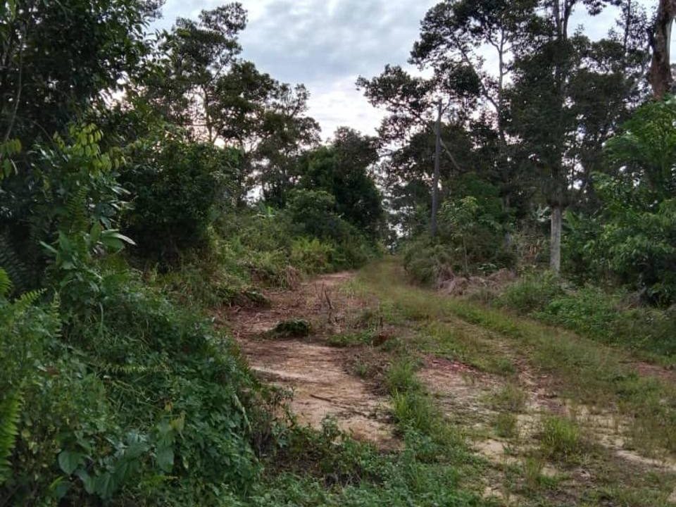 π³ Tanah Pertanian 4.93 Hektar di Gelang Patah, Johor β Freehold Non-Bumi Lot