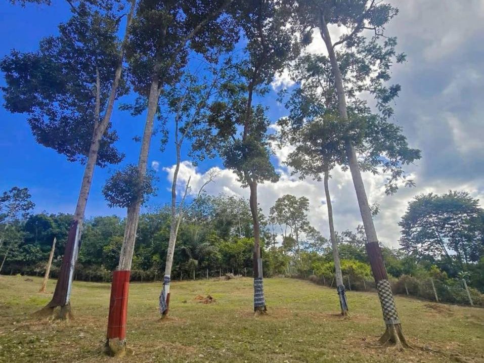 Tanah Pertanian 1.2 Ekar Kuala Pilah Freehold