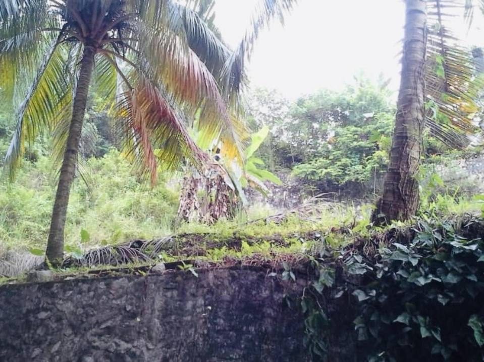 šæ Tanah Pertanian Freehold Sungai Penchala KL 43562 sqft Hilltop Dekat Mont Kiara