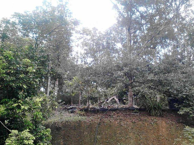 Tanah Pertanian Tepi Jalan Rembau Negeri Sembilan 2.05 Ekar Freehold