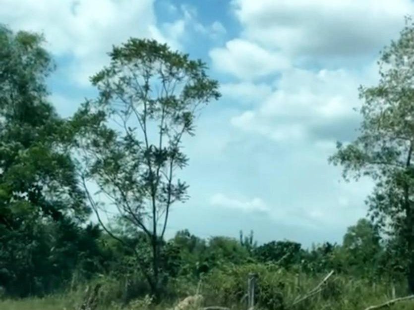 Tanah Banglo 9,988 sqft Bukit Damar Dengkil