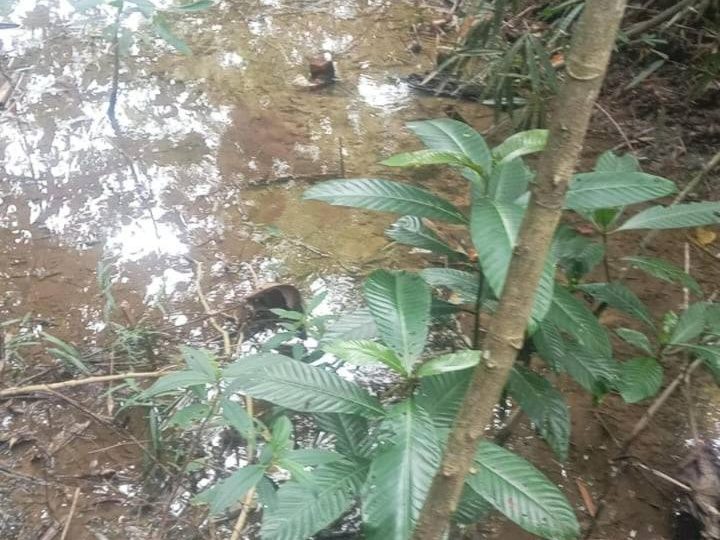 Tanah Kampung Balun Slim River Untuk Dijual , 1.43 Ekar Tanah Dusun