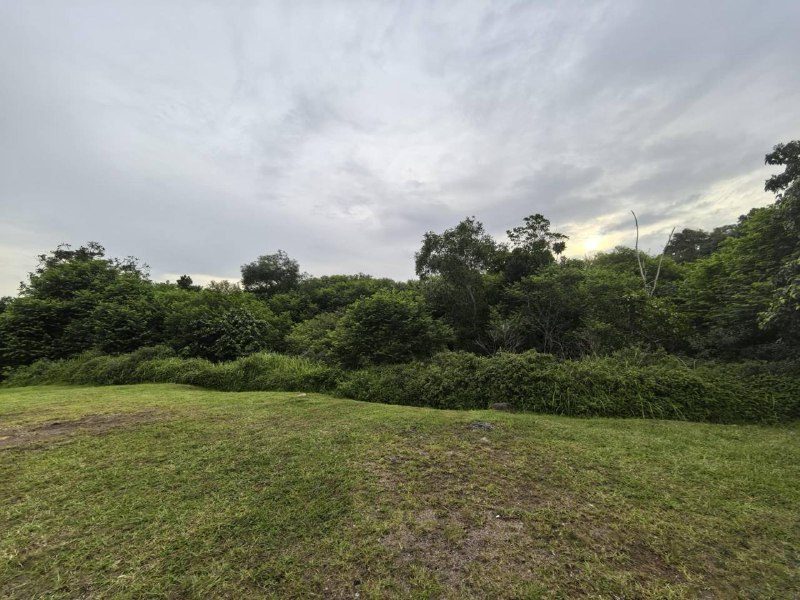 Tanah Pembangunan Masai Johor Bahru Taman Flora Heights Citrine Seri Alam 9.6 Ekar Freehold