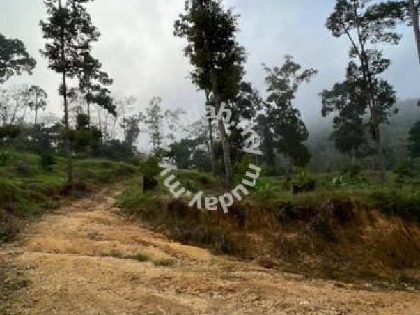 Tanah Pertanian Durian Raub Pahang 9.1 Ekar Freehold