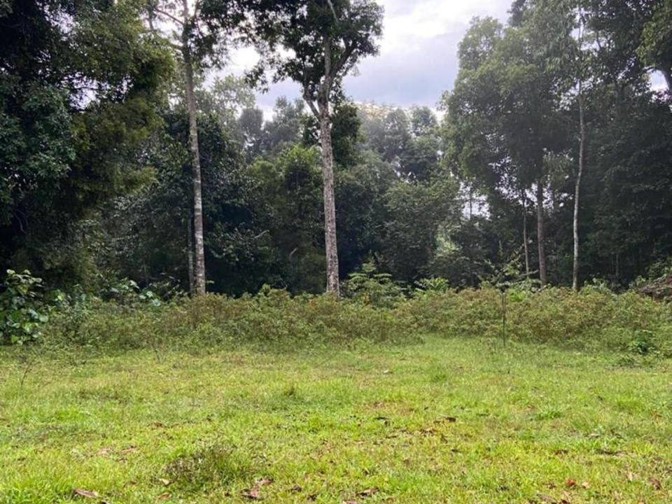 Tanah Pertanian 1.30 Ekar Freehold @ Janda Baik, Bentong, Pahang