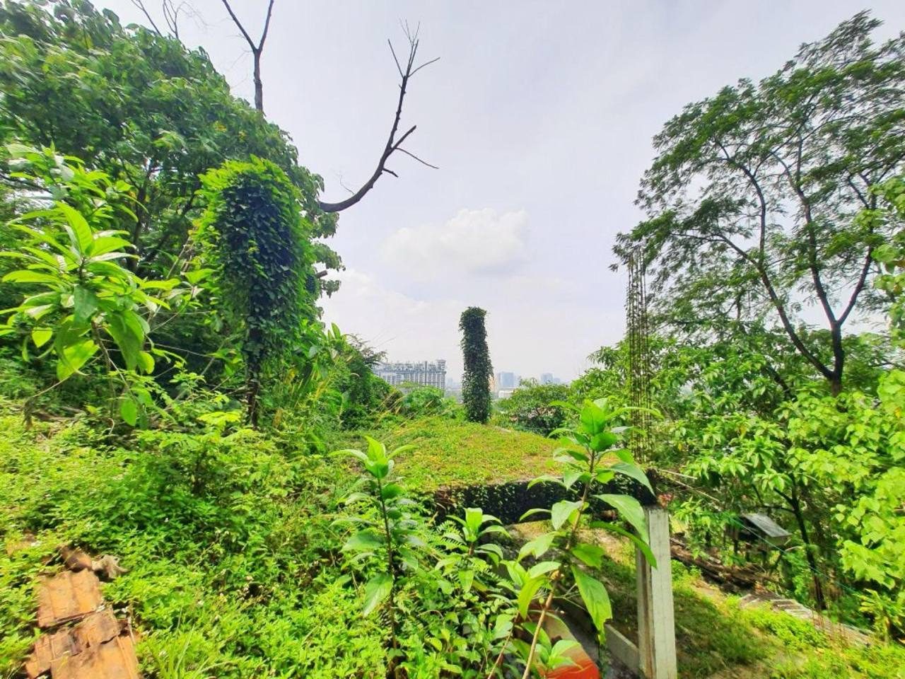 Tanah 1 Ekar Freehold Atas Bukit @ Kg Sungai Penchala, Damansara ā Zoning Kediaman