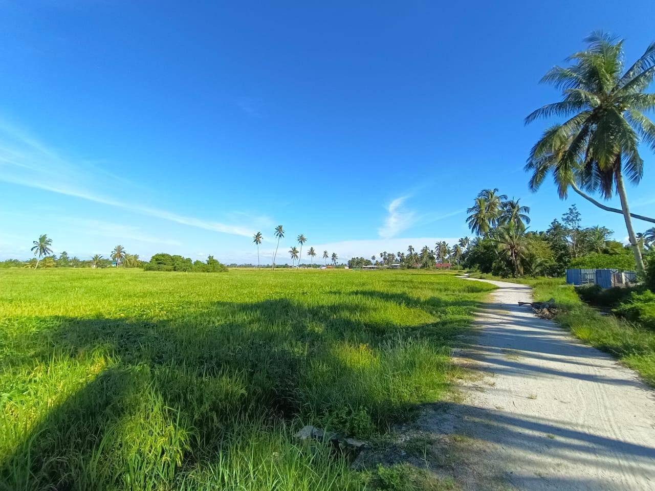 Tanah First Grade 15,084 sqft Freehold @ Sungai Kedak, Penaga, Pulau Pinang