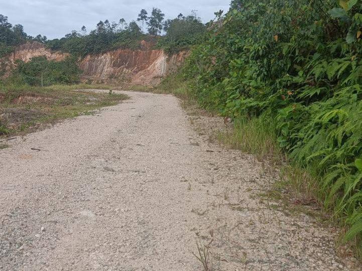 Tanah Pertanian 3.03 Ekar Kg Tanjung Kupang Johor | Freehold | Berbukit & Strategik