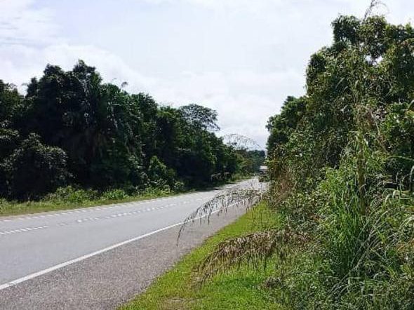 Tanah Pertanian 2.13 Ekar Kota Tinggi Johor | Leasehold | Mukim Hulu Sungai Sedili Besar