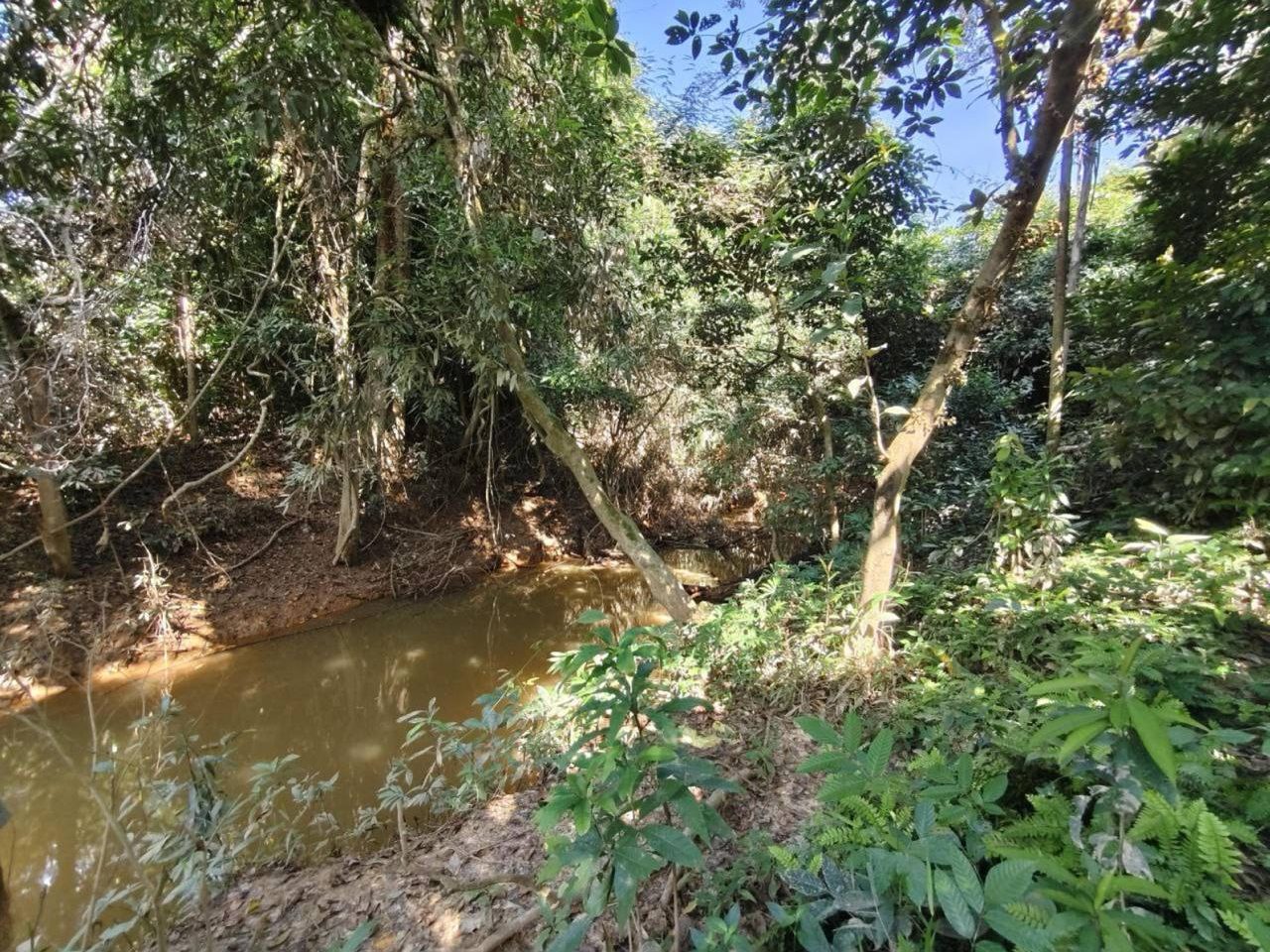 2 Lot Tanah Pertanian Bersebelahan 0.62 Hektar Padang Terap Kedah | Kebun Getah & Durian