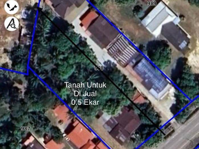 Tanah Tepi Jalan Utama dengan Rumah & Dusun Buah di Padang Cempedak, Tasek Gelugor, Pulau Pinang