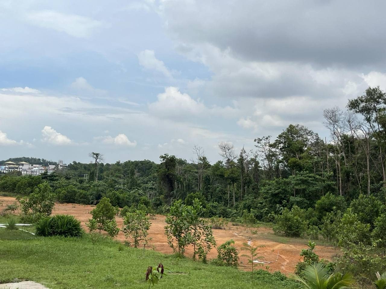 Tanah Pertanian 3 Ekar Freehold Berdepan Jalan Utama di Salak Tinggi, Sepang
