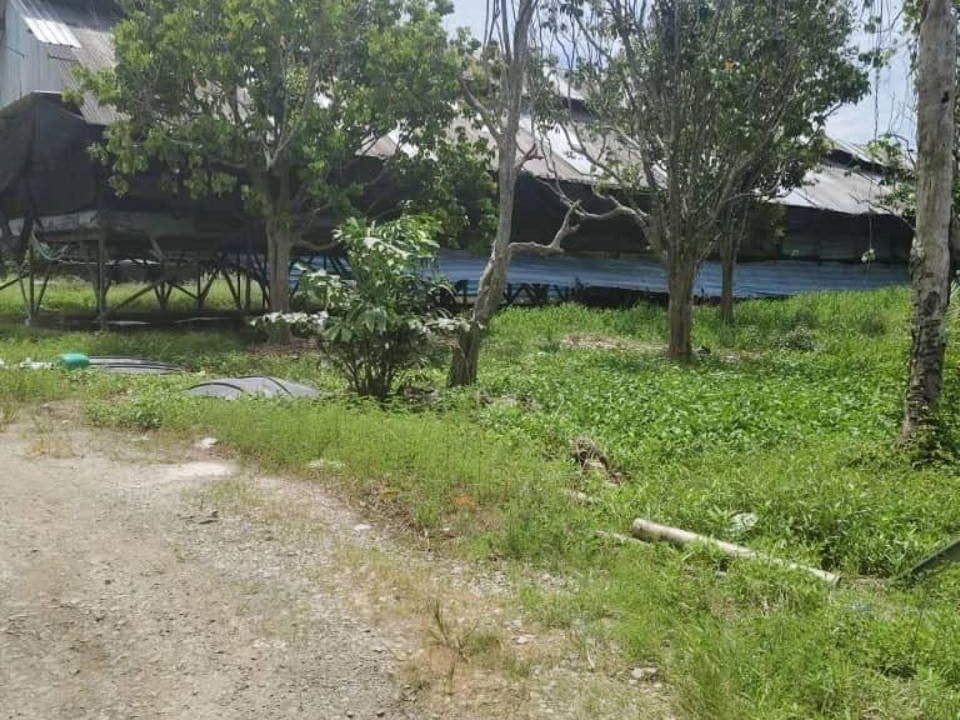 Tanah 2 Ekar Kukup Laut Pontian Freehold