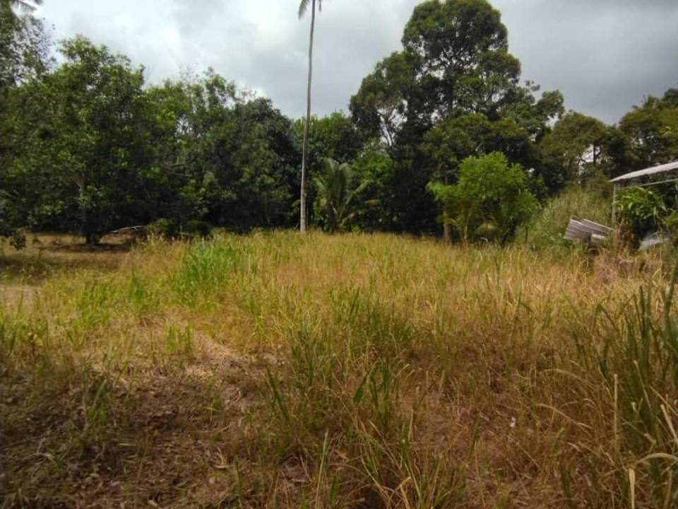 Tanah 37178 sqft Titi Teras Balik Pulau Freehold Geran Individu