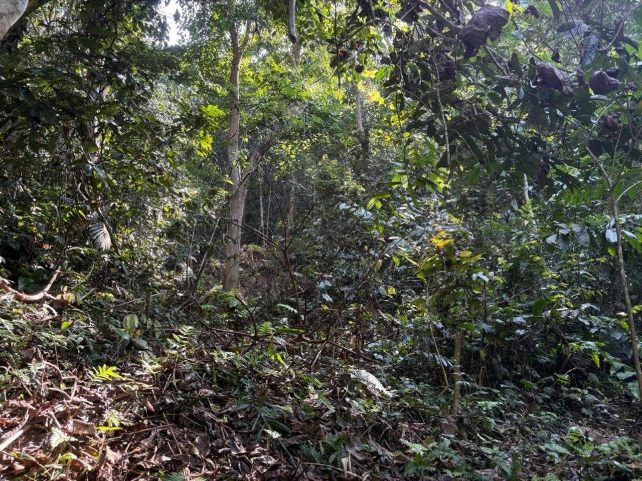 Tanah 1 Ekar Lata Jeram Padang Rengas Perak Freehold Sungai