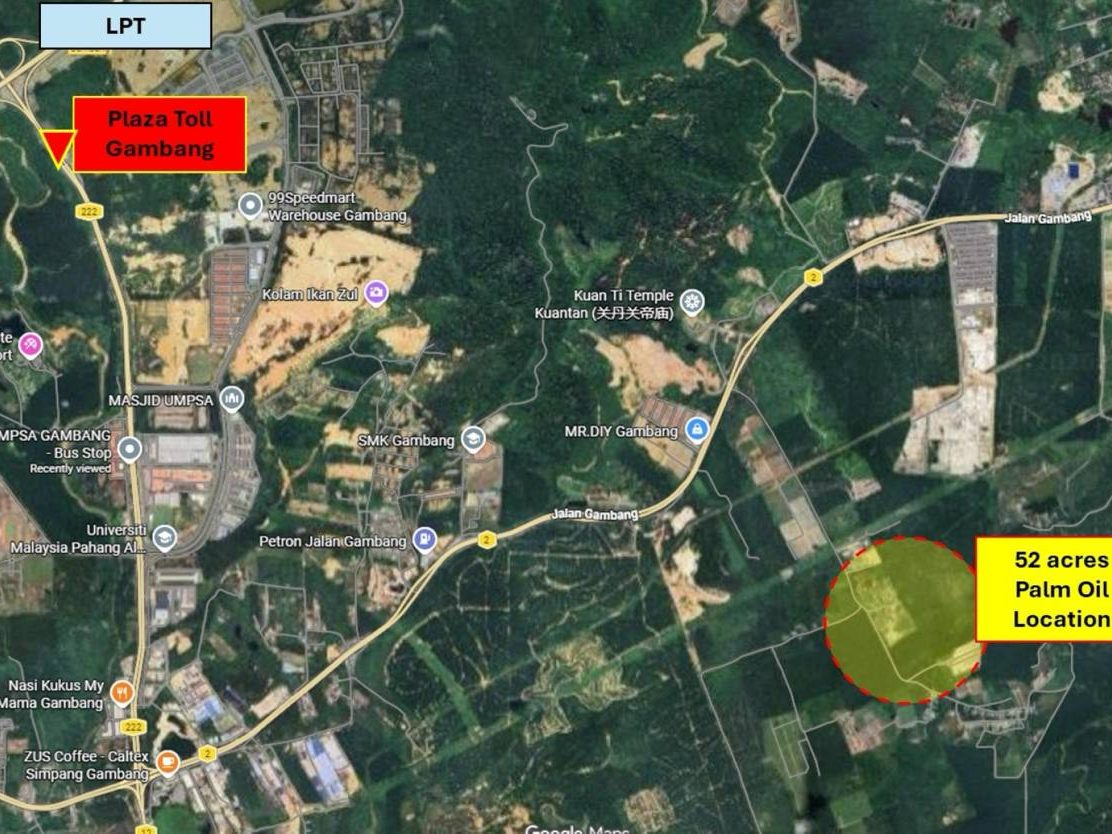 Tanah Pertanian Kelapa Sawit 51.87 Ekar Gambang Kuantan Tepi Jalan Utama Dekat Tol Freeflow